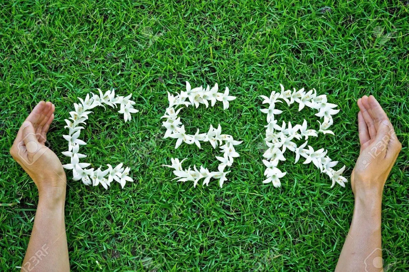 CSR报告